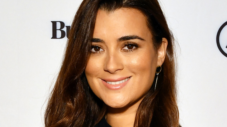 Cote de Pablo long hair