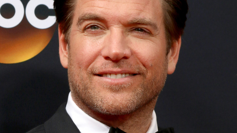 Michael Weatherly smiling