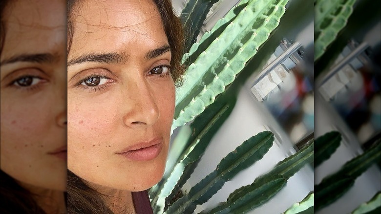 Salma Hayek taking selfie with cactus