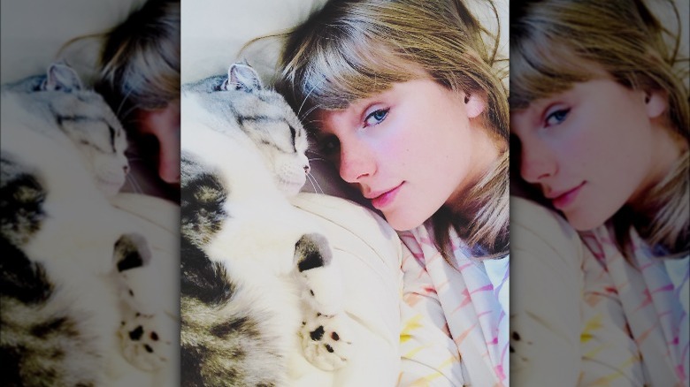 Taylor Swift with her cat