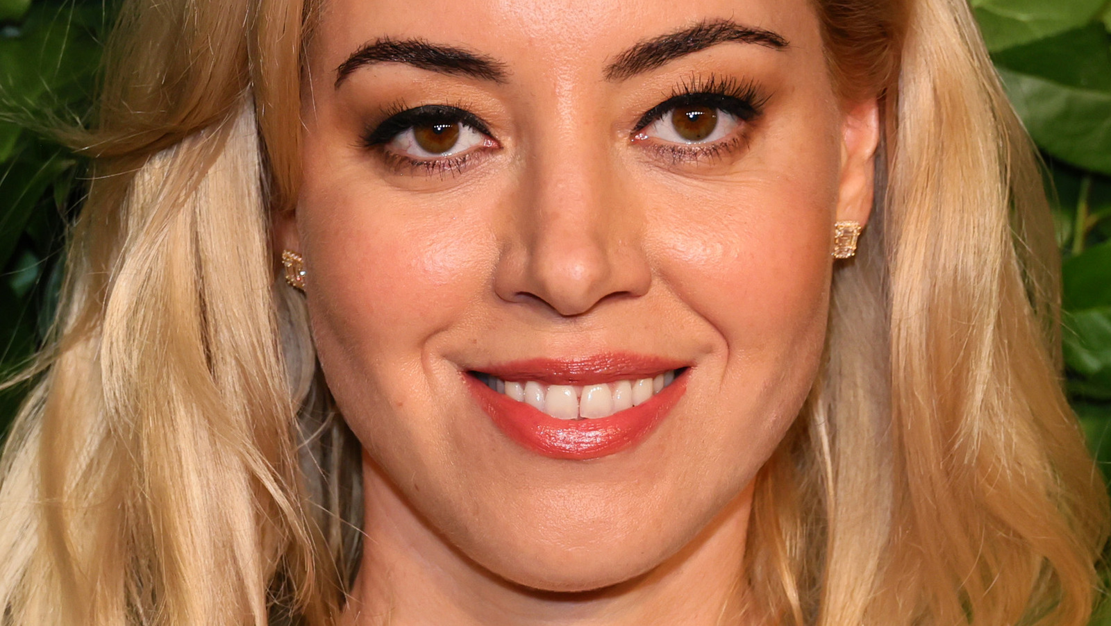 Aubrey Plaza Learned How to Commit Credit Card Fraud For 'Emily the  Criminal