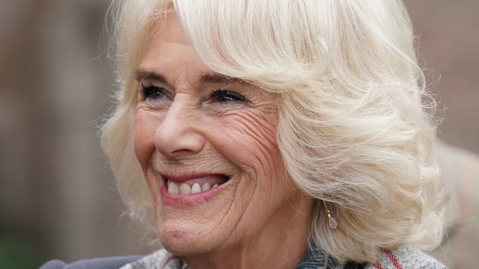 How Camilla Parker Bowles Grew Up To Become Queen Consort