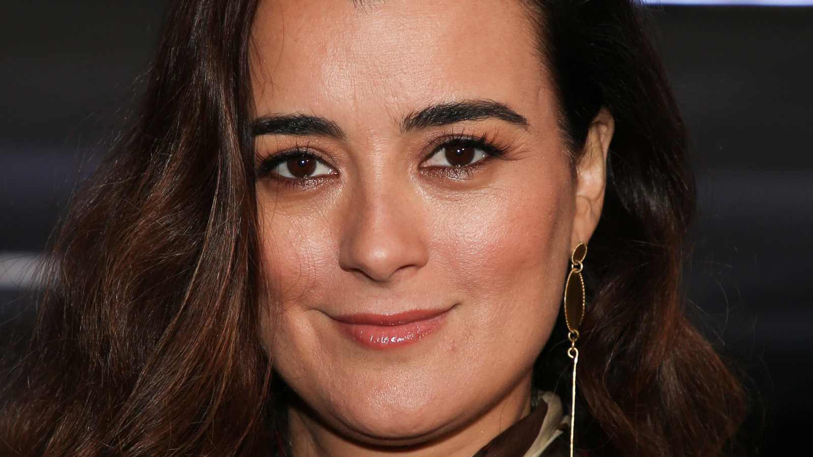 How Cote De Pablo Really Feels About Leaving Ncis 