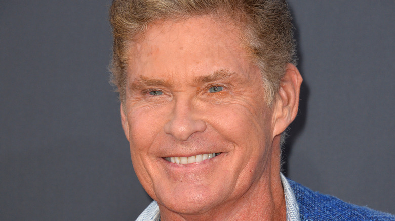 David Hasselhoff smiling.