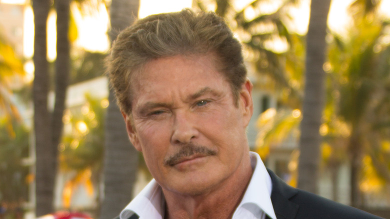 David Hasselhoff with a mustache.