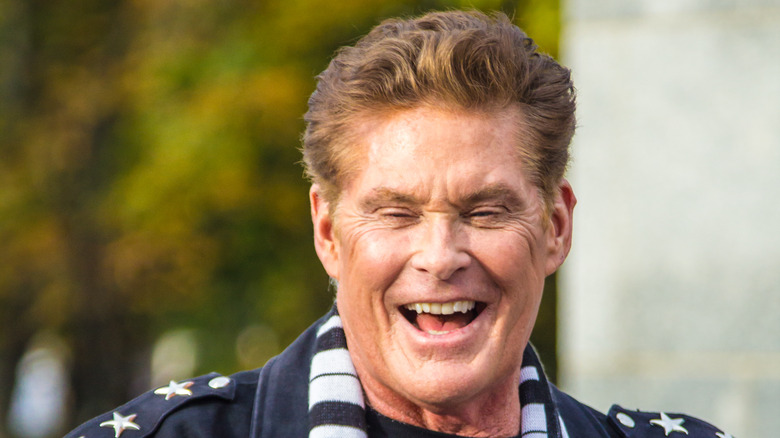 David Hasselhoff smiling.