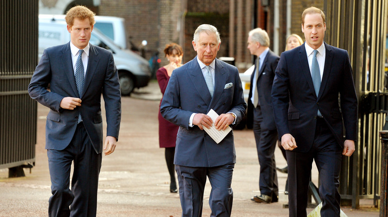 Prince Charles sons