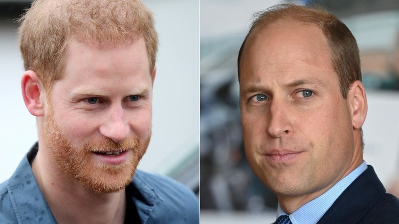 Prince Harry smiling and Prince William posing 