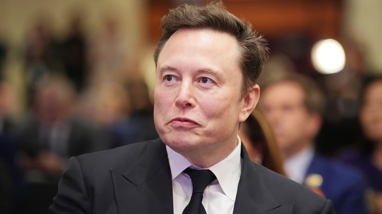 Elon Musk looks ahead during a House Republicans Conference in November 2024