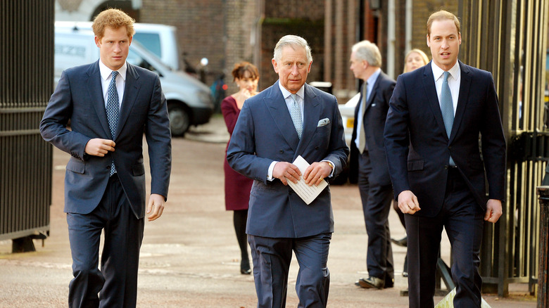 Prince Harry, King Charles III, Prince William arriving at conference