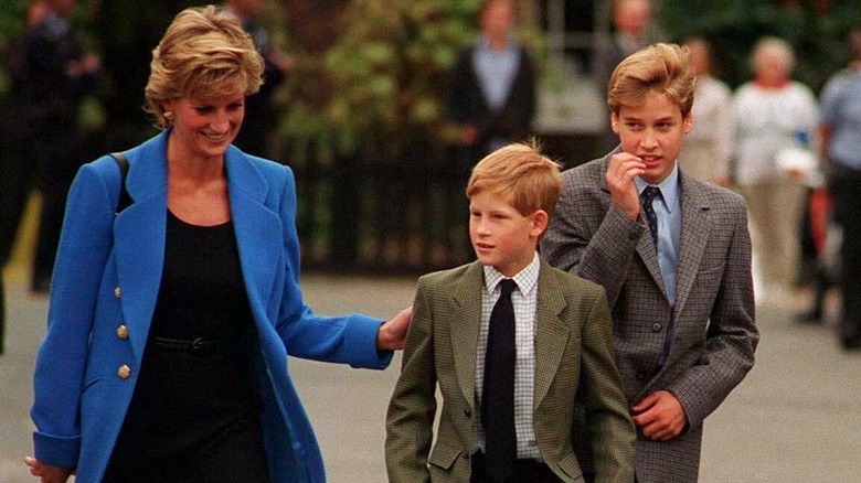 Princess Diana with Prince Harry and Prince William