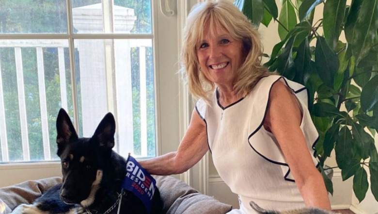 Jill Biden with family dogs