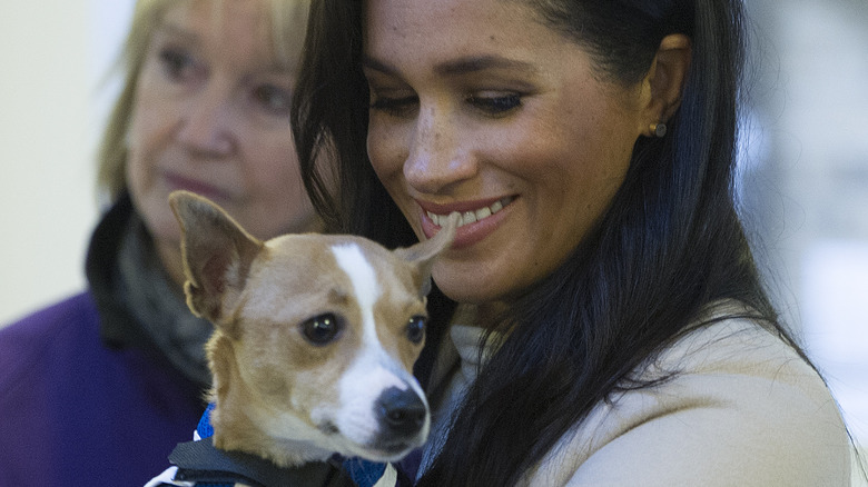 Meghan Markle holding a dog 