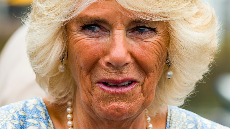 Camilla Parker Bowles smiling