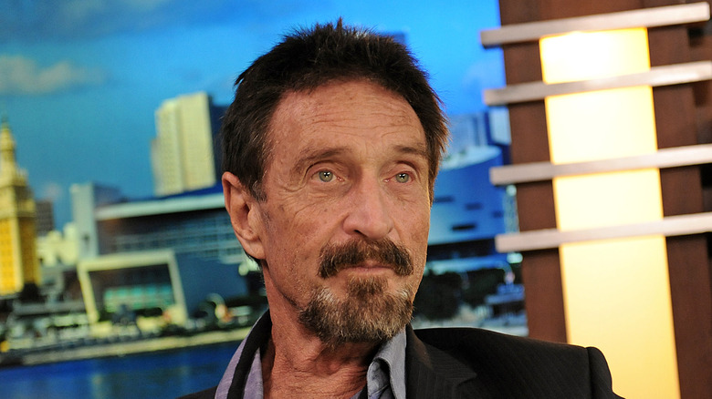 John McAfee reacts on television show