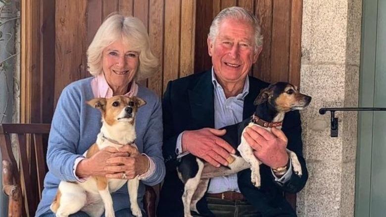 Camilla and Charles with rescue dogs Bluebell and Beth