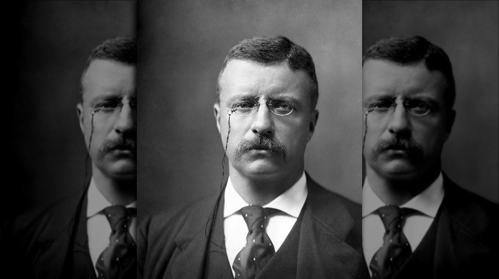 Theodore Roosevelt looking serious