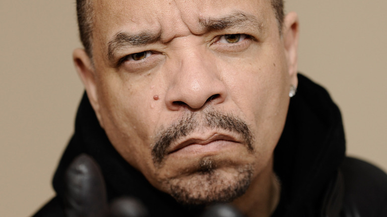 Ice-T photo portrait