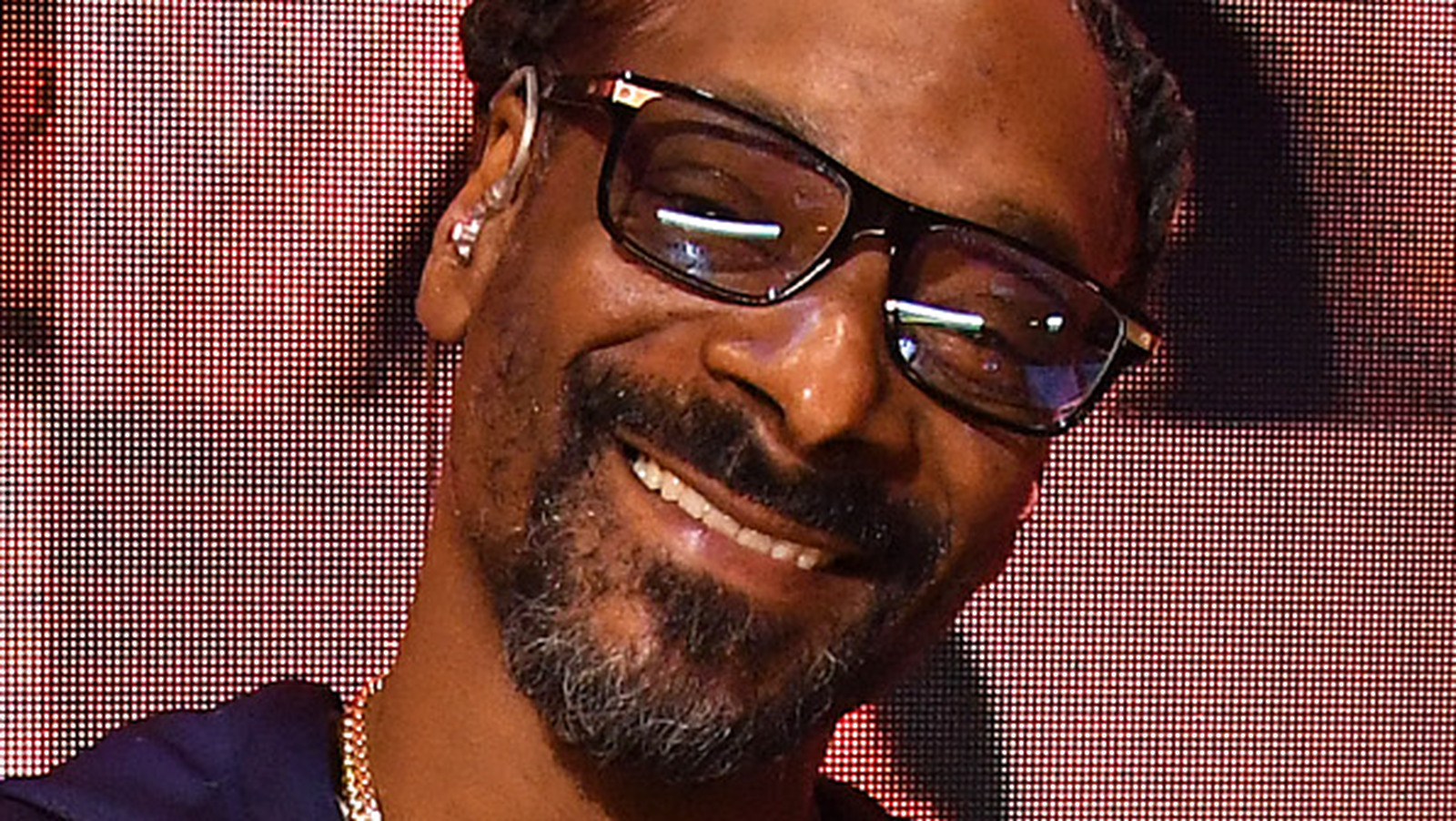 How Many Times Has Snoop Dogg Been Arrested 