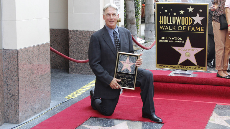 Mark Harmon looks into the camera