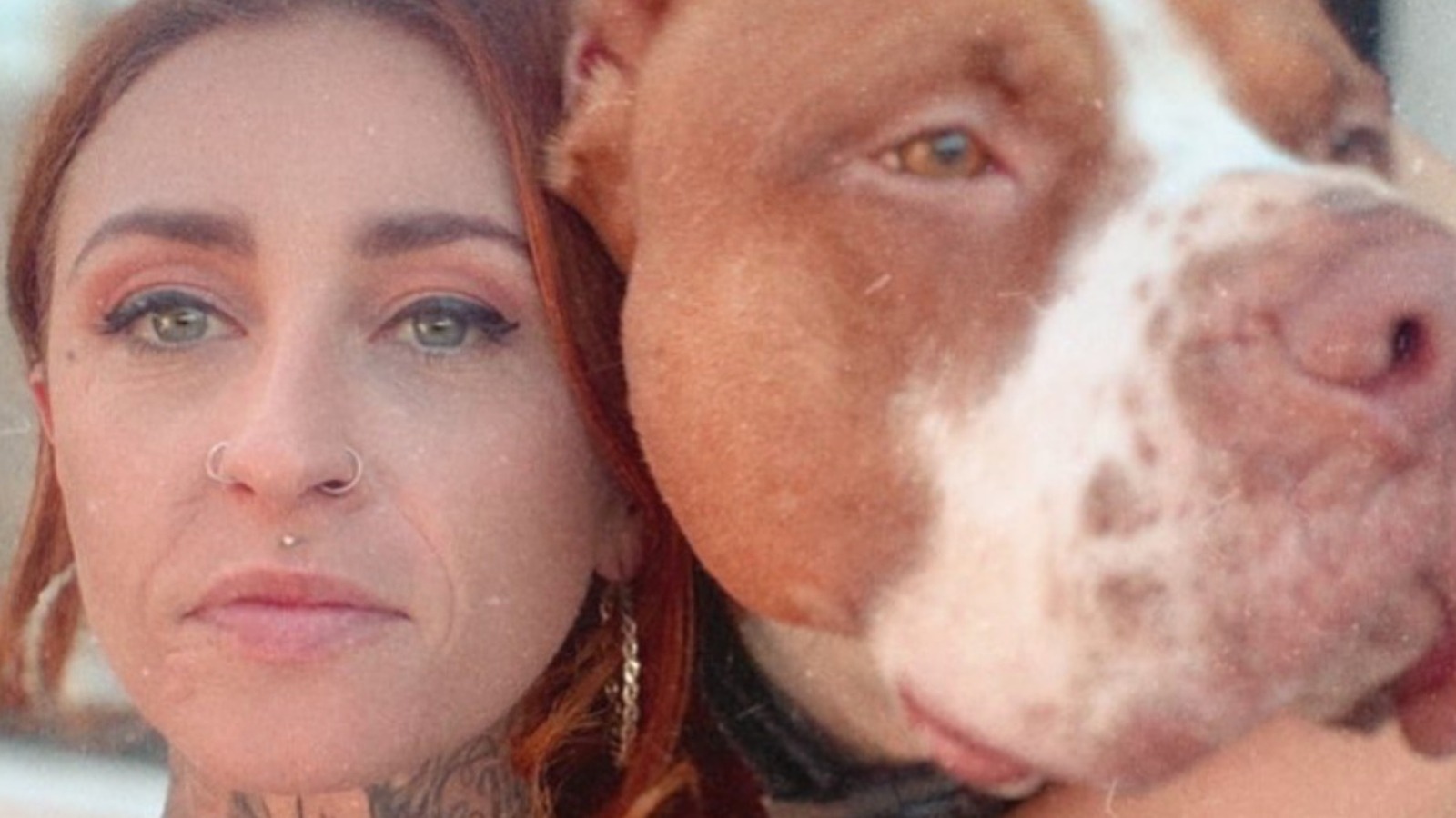 How Much Is Mariah Torres From Pit Bulls & Parolees Worth?