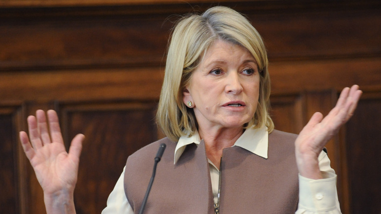 Martha Stewart testifying during Macy's, J.C.Penny lawsuit