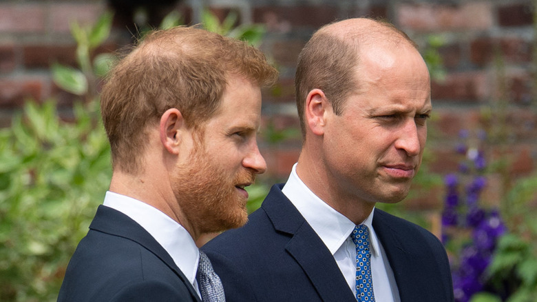 Harry and William at a ceremony for Princess Diana statue