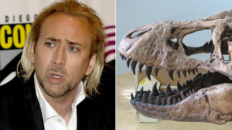 Nicolas Cage