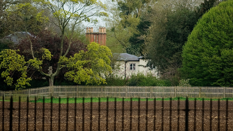 Frogmore cottage through trees