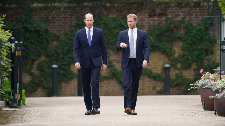 Prince William and Prince Harry walking