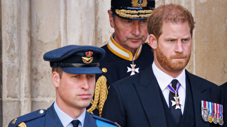 How Prince Harry Completely Disregarded Prince William's Wishes In New ...