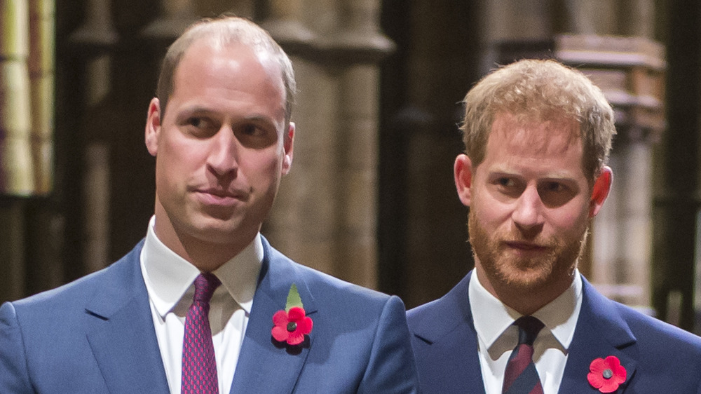 Prince William and Prince Harry posing together during a public event