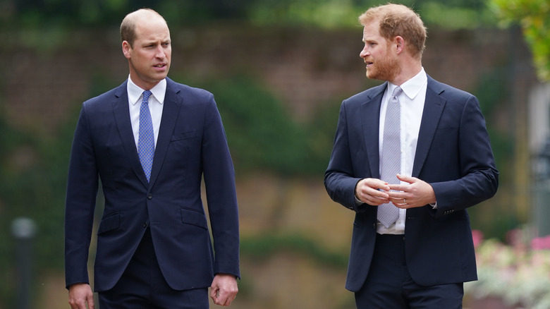 Prince William and Prince Harry