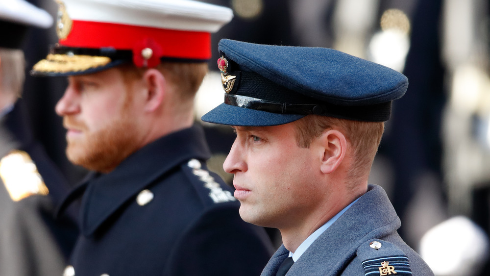 Prince Harry and Prince William staring ahead