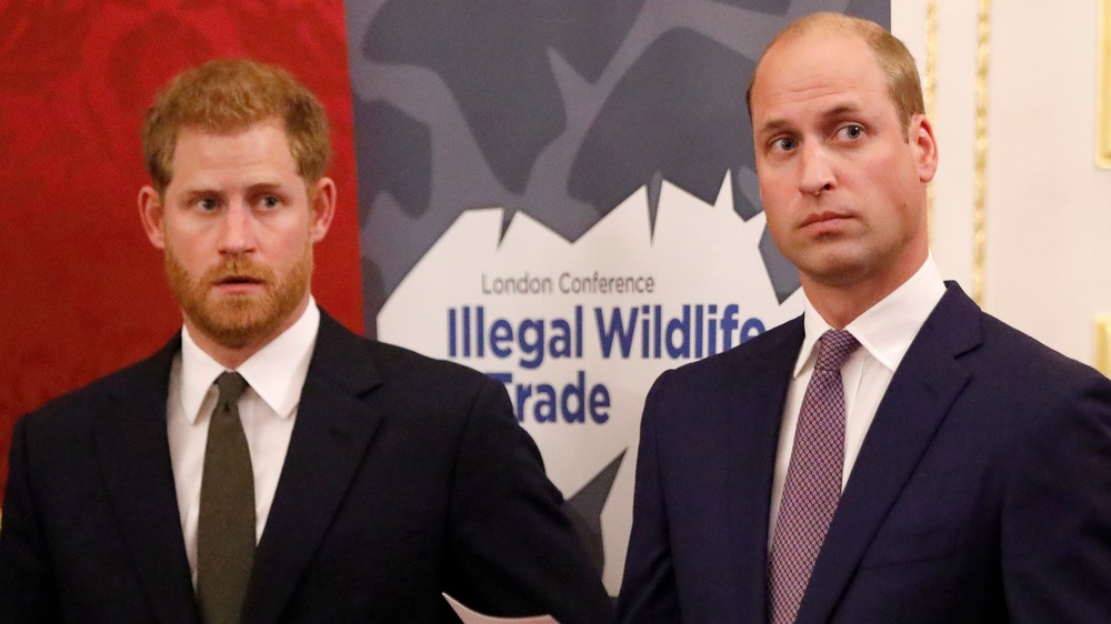 Prince Harry and Prince William looking to their left