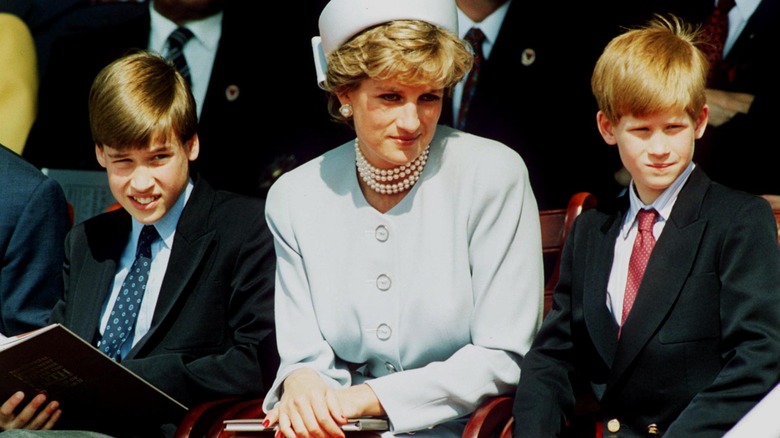 Princess Diana with the princes 