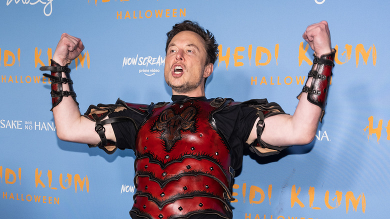 Elon Musk in a Halloween costume