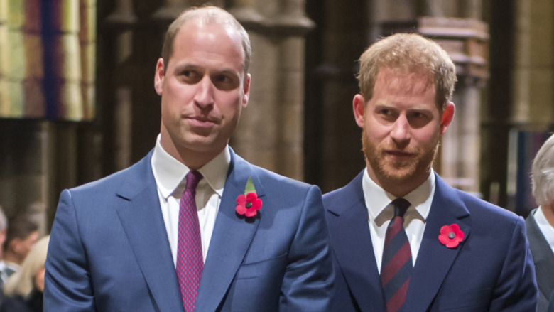 Prince William and Prince harry stand together 