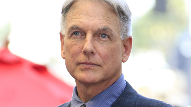 Mark Harmon slightly smiling