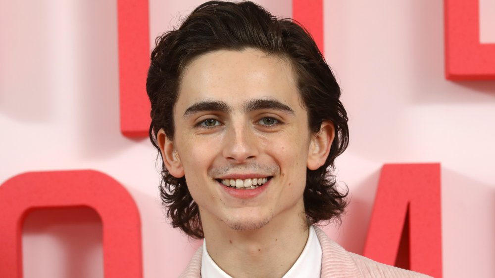 Timothée Chalamet attends the Little Women London evening photocall at the Soho Hotel 