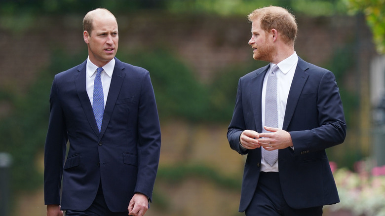 Prince William and Prince Harry at the Princess Diana statue unveiling