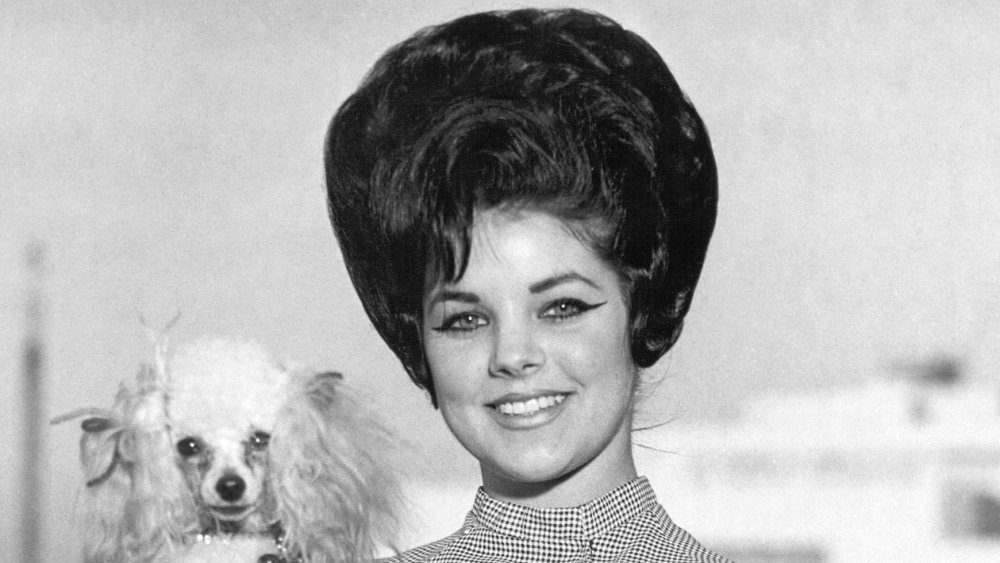Priscilla Presley holds a poodle in Memphis in 1963
