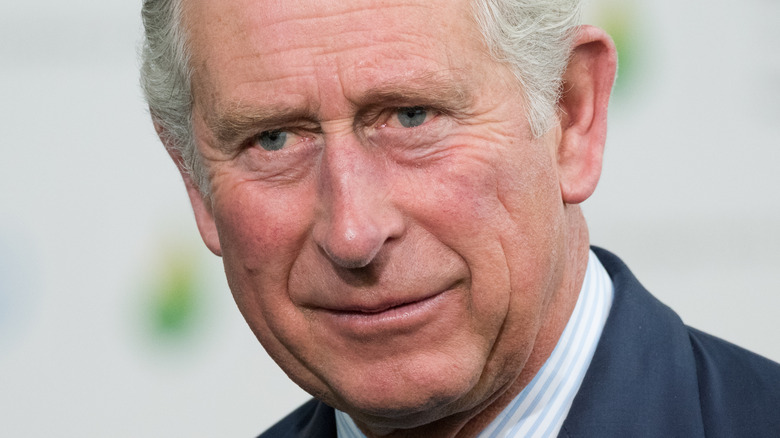 Prince Charles smiles