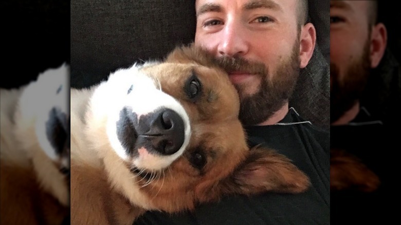 Chris Evans cuddling his dog Dodger