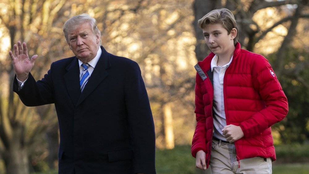 Donald Trump and Barron Trump