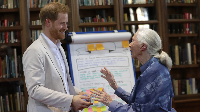 Prince Harry and Jane Goodall speaking