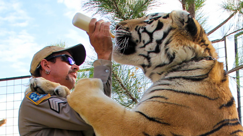 Joe Exotic with a tiger at GW Zoo