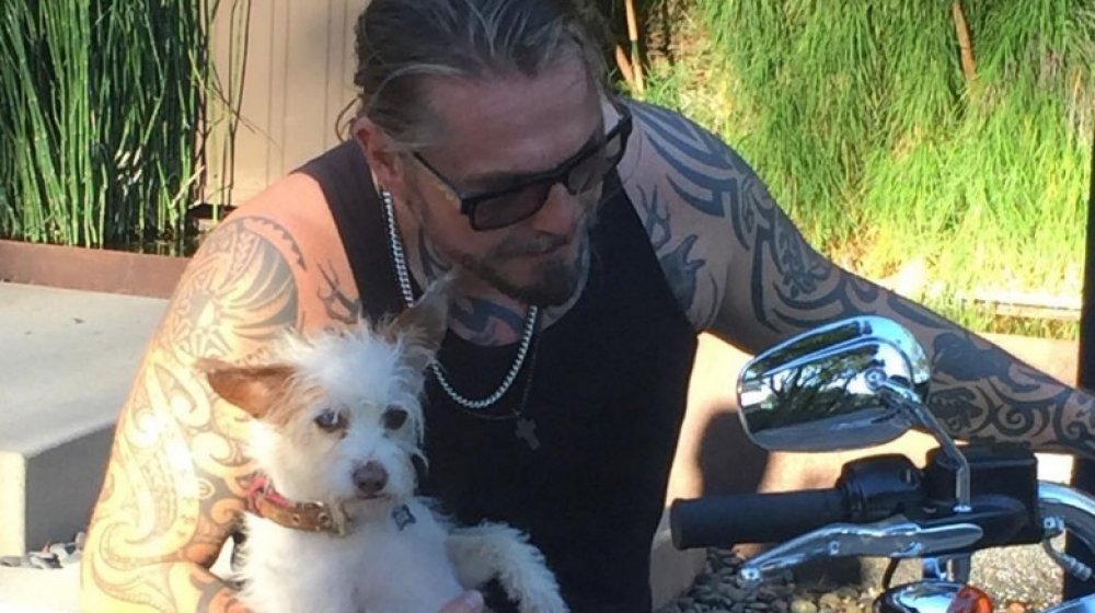 Kurt Sutter dogs 