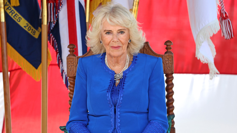 Queen Camilla, smirking while seated