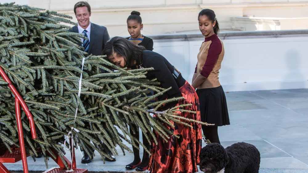 Malia Obama with her mom and sister at Christmastime at the White House